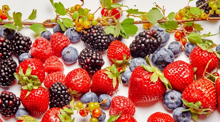 beerenpflanzen im herbst einpflanzen erdbeeren blaubeeren brombeeren