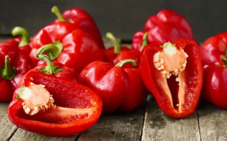 paprika richtig im kuehlschrank lagern wie lange haelt sich paprika im kuehlschrank roten paprika schneiden