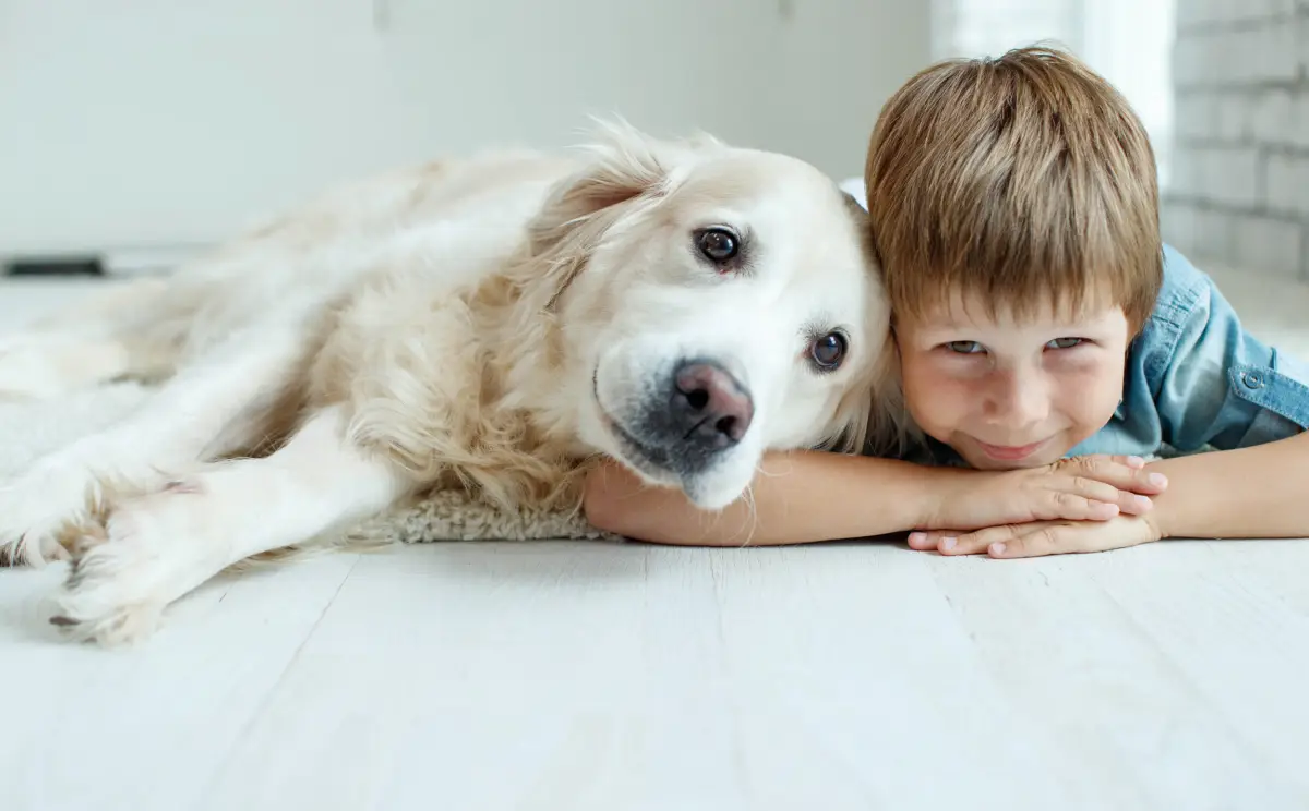 pilzinfektion haut kann hautpilz von selben heilen haustiere bringen hautpilz kind und hund liegen am boden