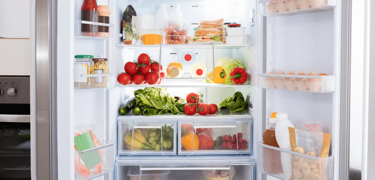 salz in den kühlschrank stellen trick gegen übermäßige feuchtigkeit und lebensmittelverderb