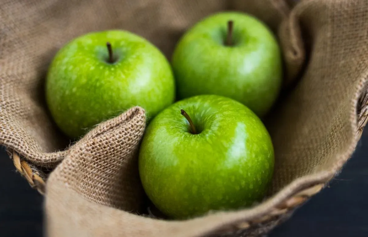 saure grüne äpfel verbesserung der darmfunktion