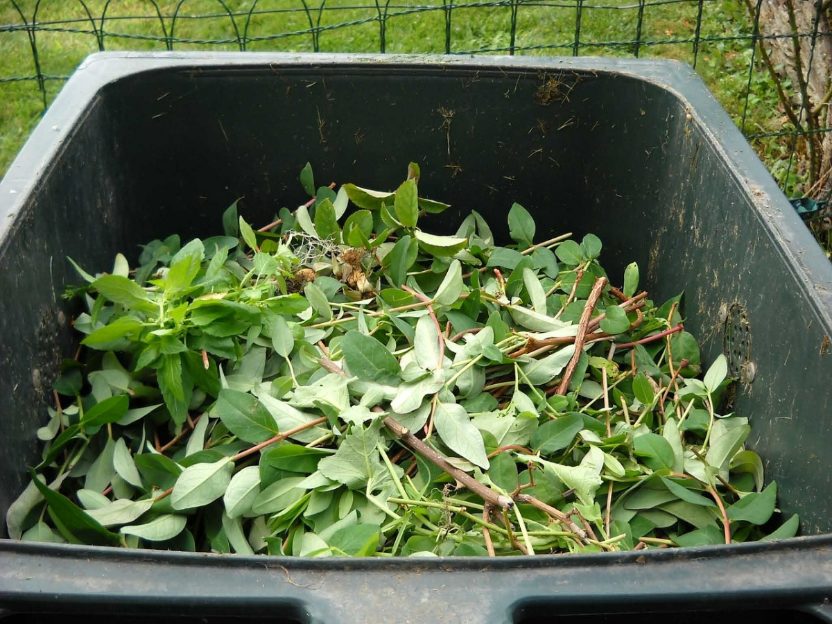 was hilft gegen maeuse im kompost komposthaufen zweige