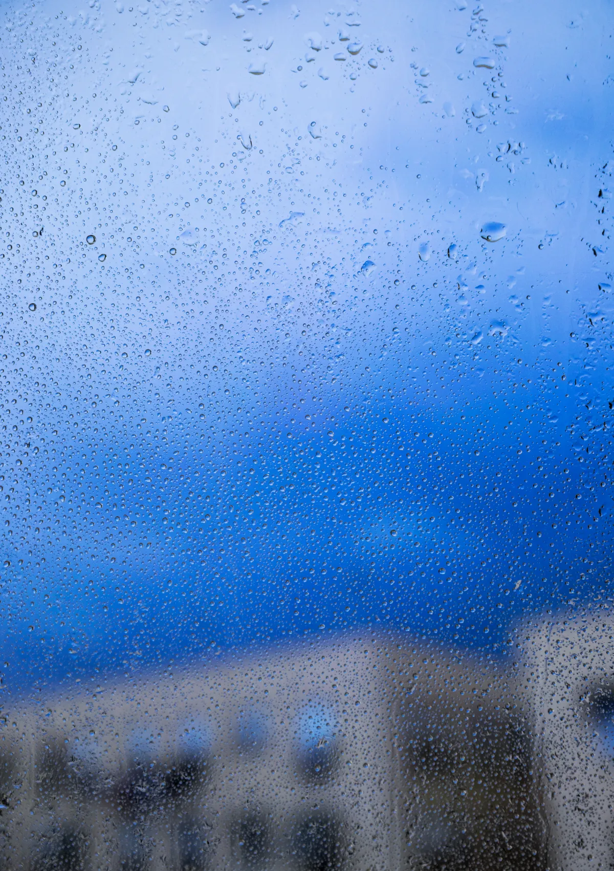 Kondenswasser am Fenster: Bildung von Wassertropfen vermeiden