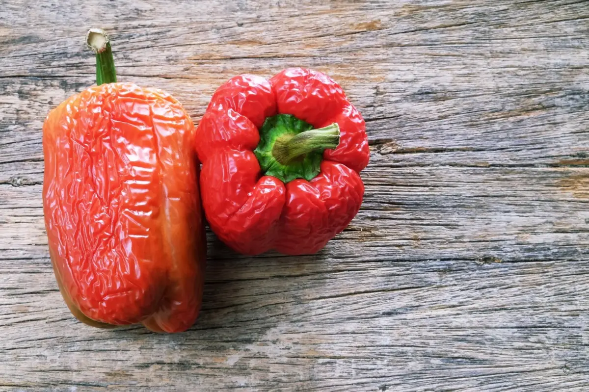 wie lange haelt sich paprika im kuehlschrank paprika richtig lagern rote paprika wird schrumpelig