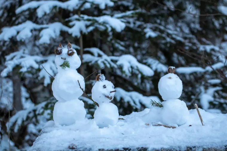 abenteuer im schnee erfahren sie mehr hier