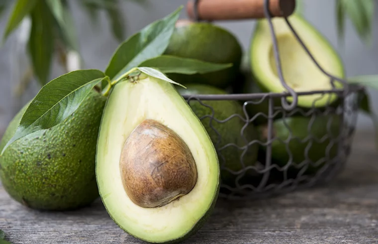 avocado für die blutreinigung