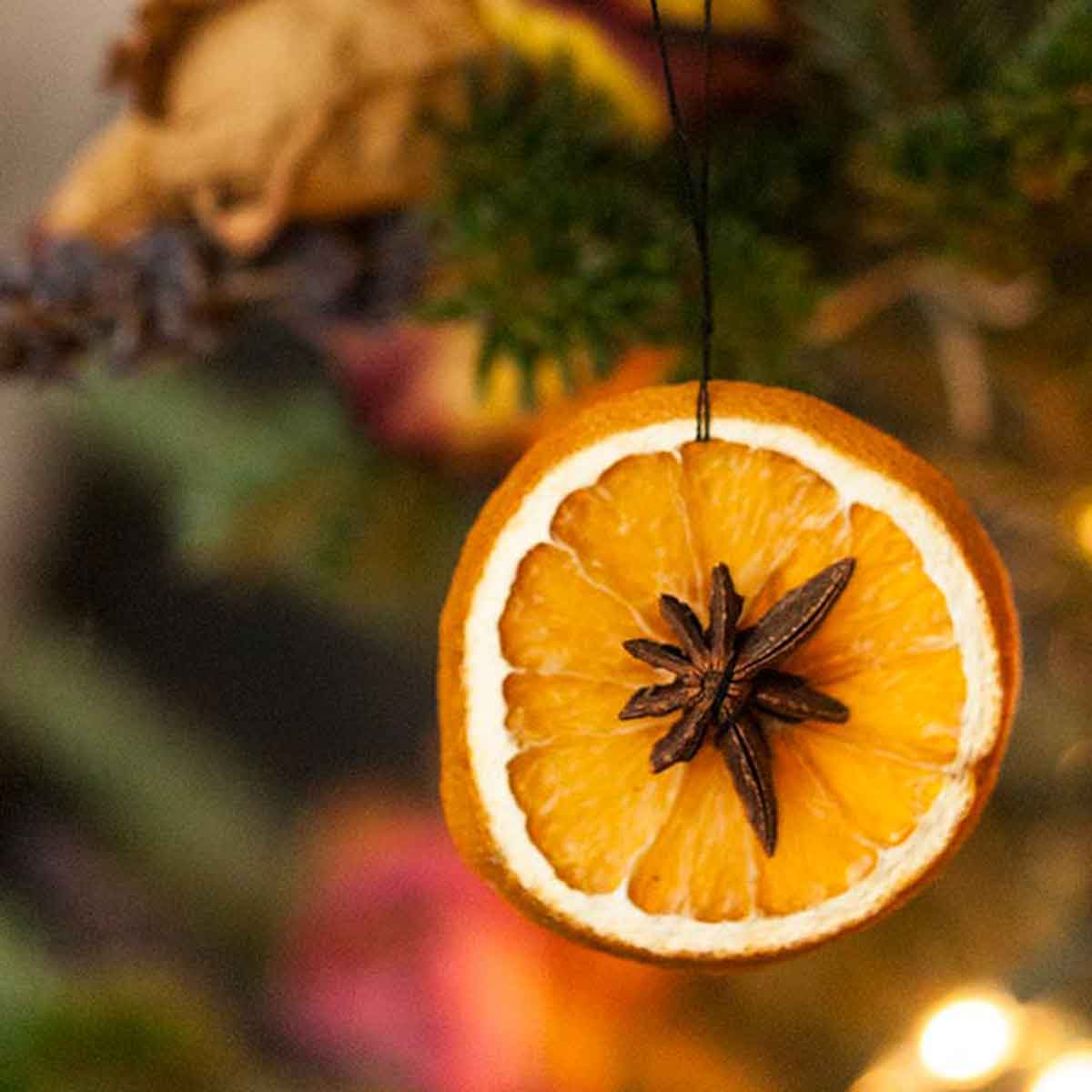 orangenscheiben als weihnachtsdekoration