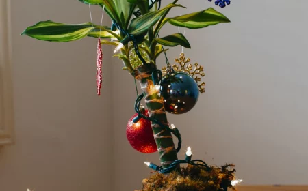 zimmerpflanze mit lichtern und weihnachtsschmuck