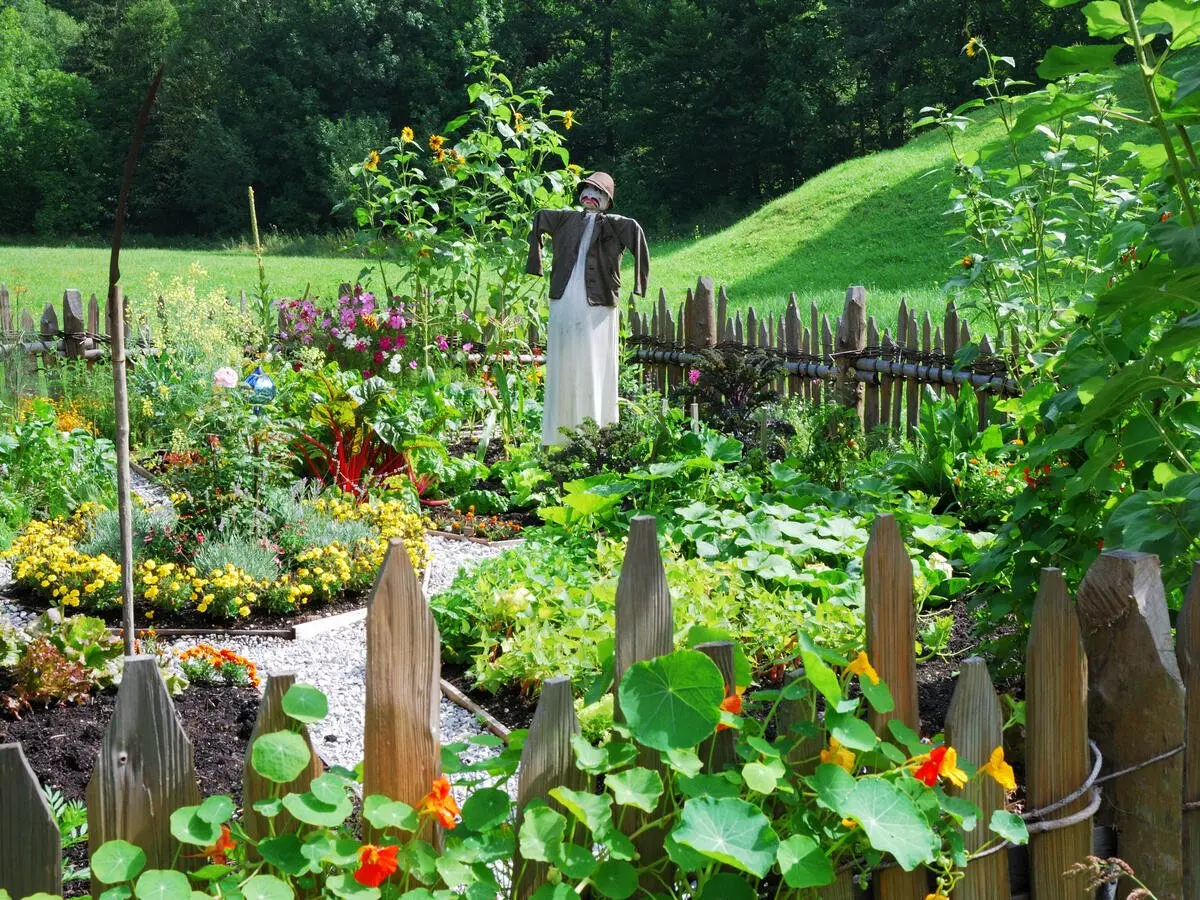 gastaltungsideen gemuesegarten nutzgarten und ziergarten im vergleich