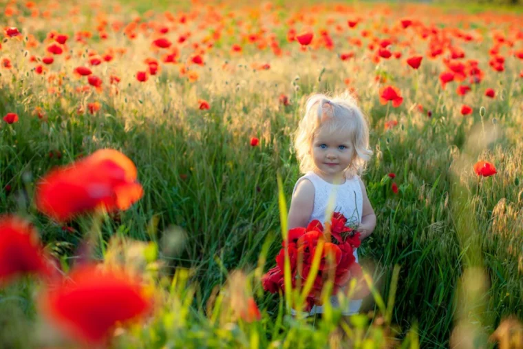 kleines mädchen im mohnblumenfeld