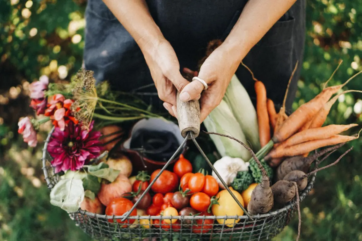 tipps nutzgarten und ziergarten im vergleich