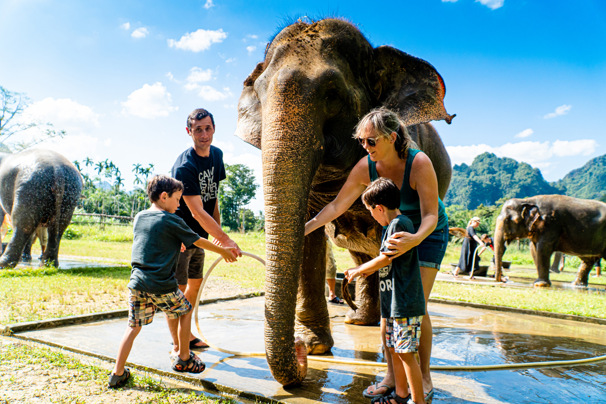 familie wäscht elefanten im thailand urlaub