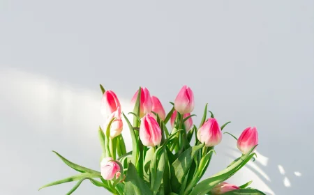 gartenschaufel neben frisch gepflanzten tulpen