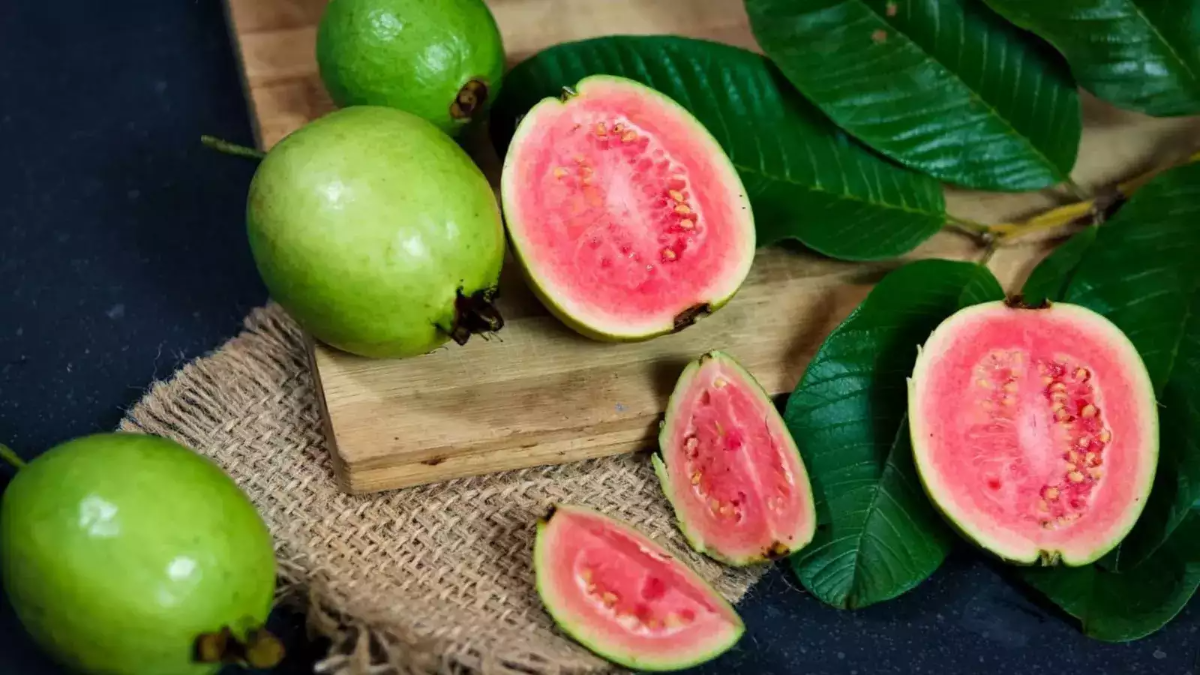 guave zum entfernen von zahnstein