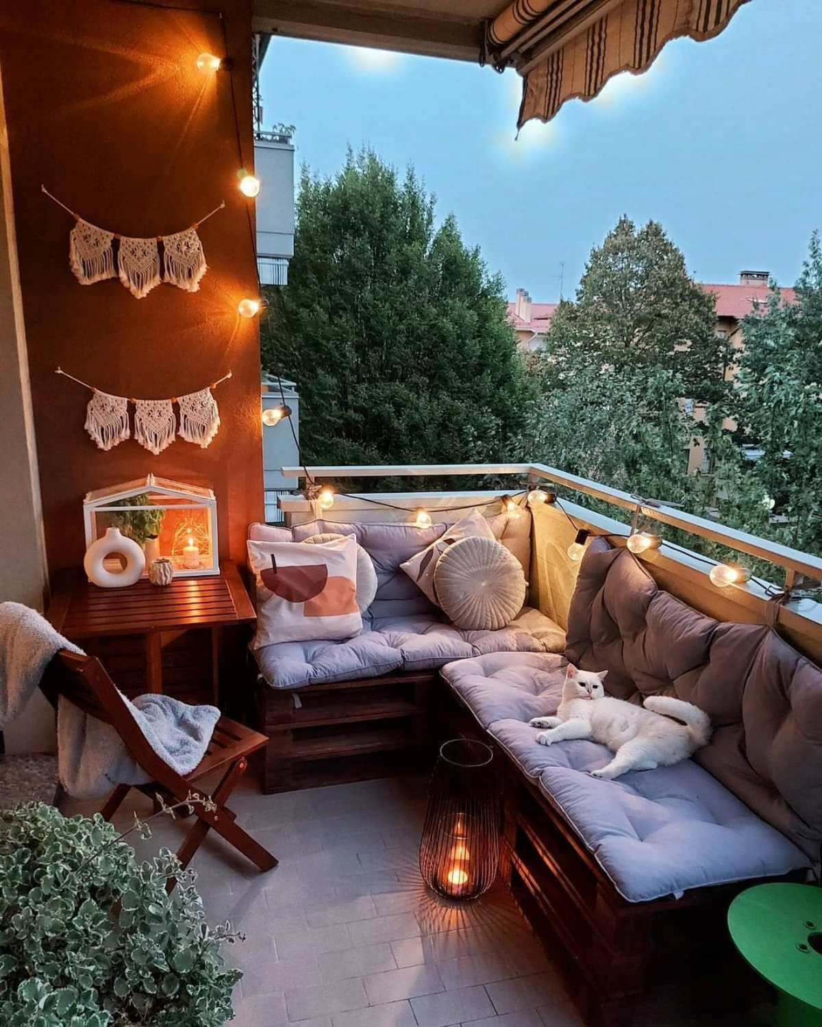 katze liegt auf möbeln auf kleinem balkon