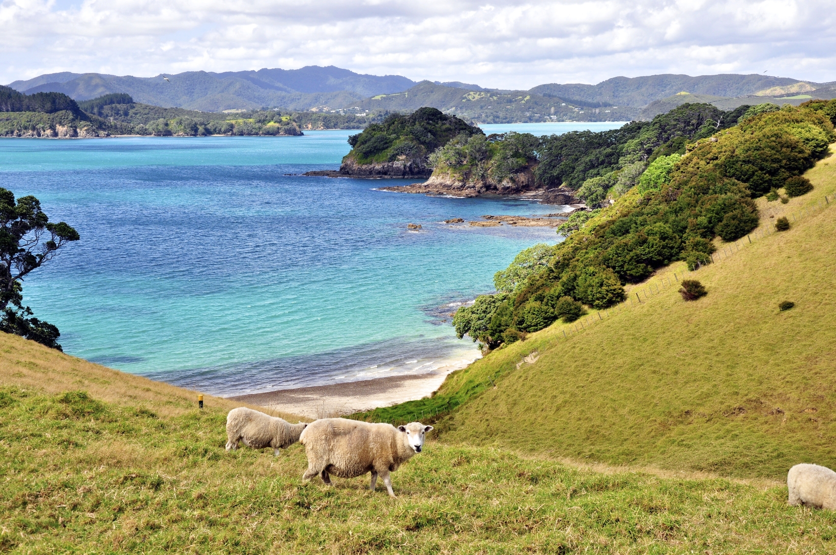 bay of islands