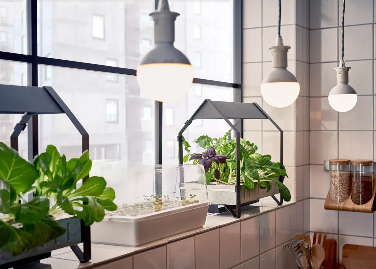 hydroponik indoor gardening idee