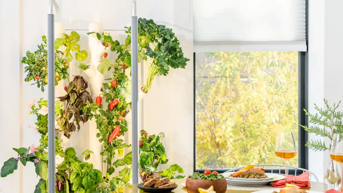hydroponik indoor gardening mit gemuese