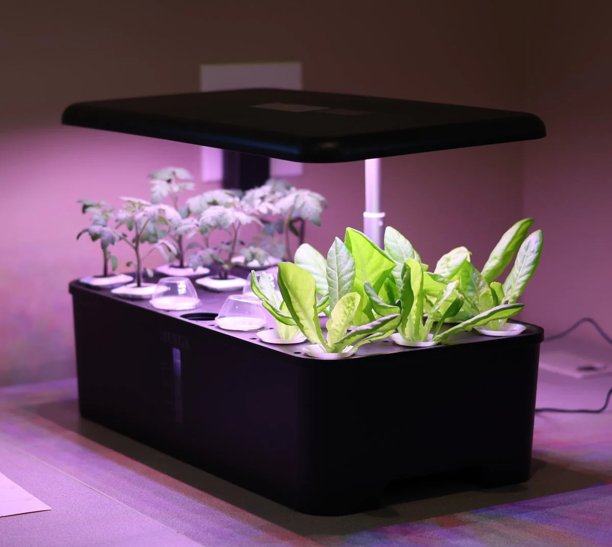 modernes indoor gardening mit beleuchtung