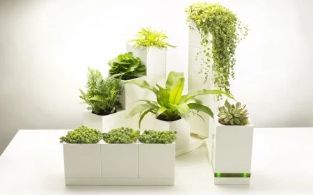 smart indoor gardening