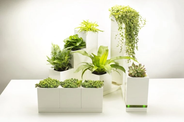 smart indoor gardening