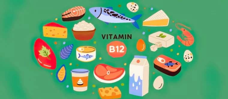 vitamin b 12 und wann gibt es mangel