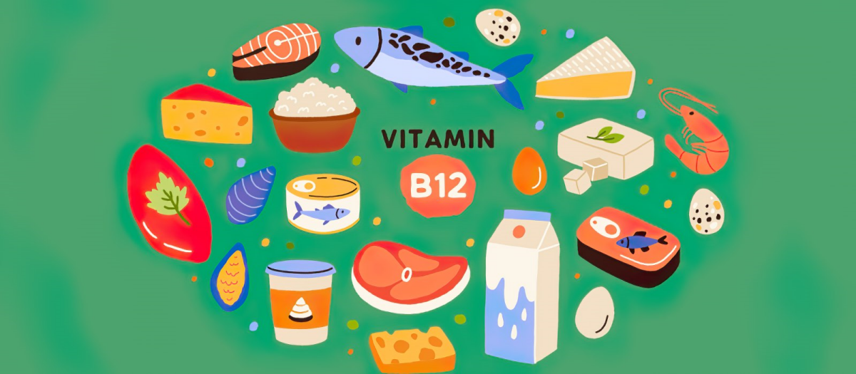 vitamin b 12 und wann gibt es mangel