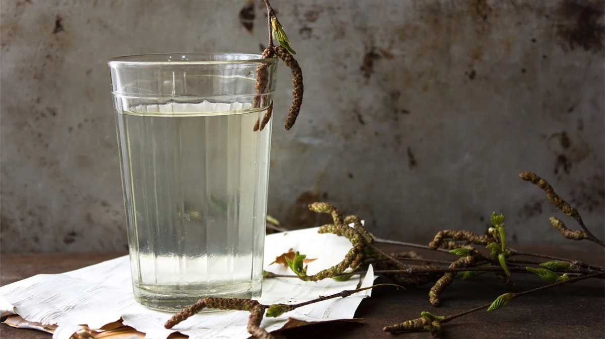 birkenwasser in einem glas neben den birkenblättern