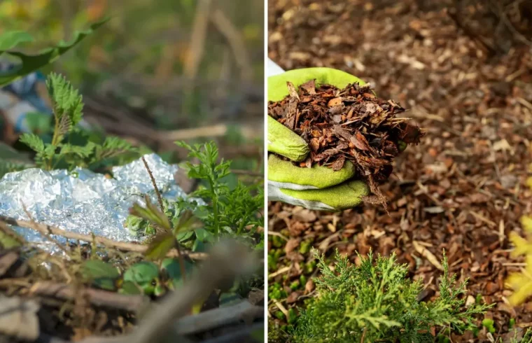 alufolie im garten verwenden als mulch
