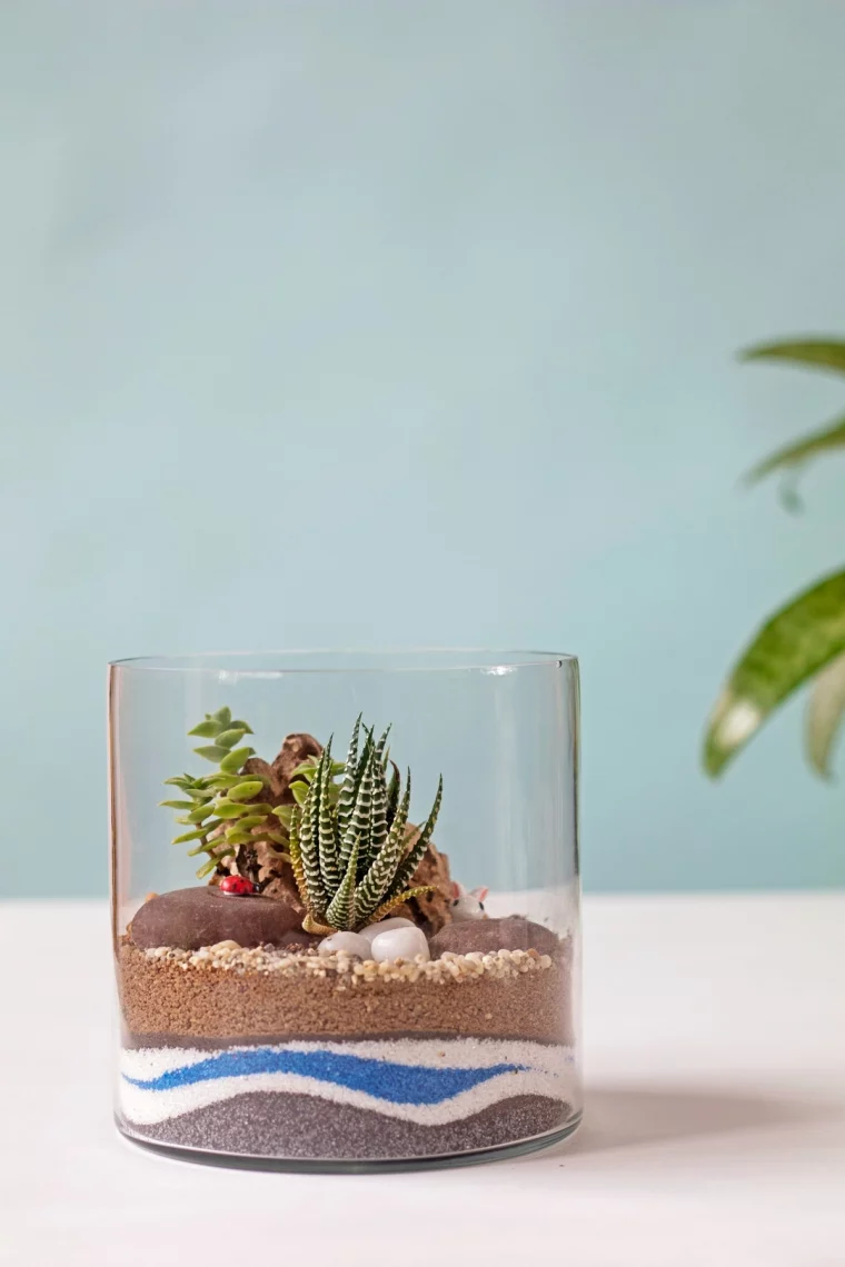 biotop diy in glas sand kleine pflanzen mini garten