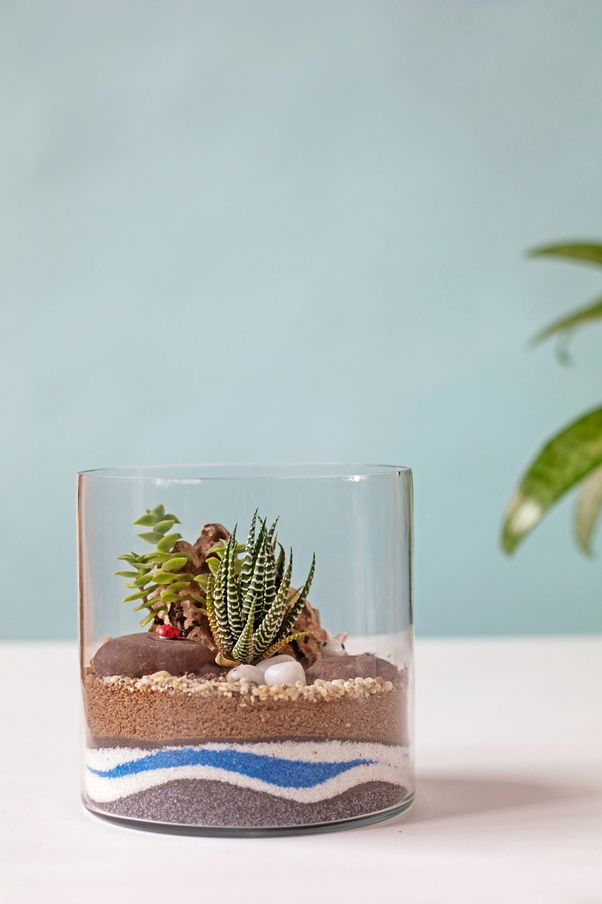 biotop diy in glas sand kleine pflanzen mini garten