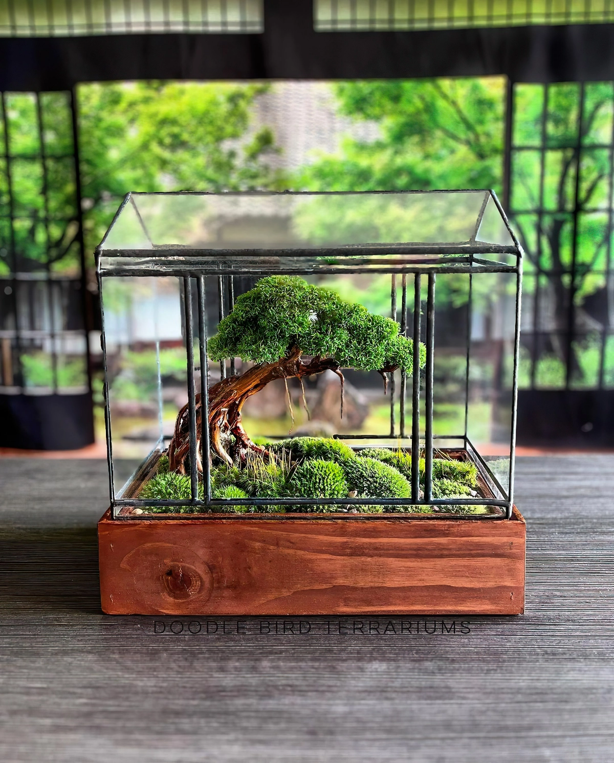 biotop im glas japanischer flaschengarten terrarium imaginarium