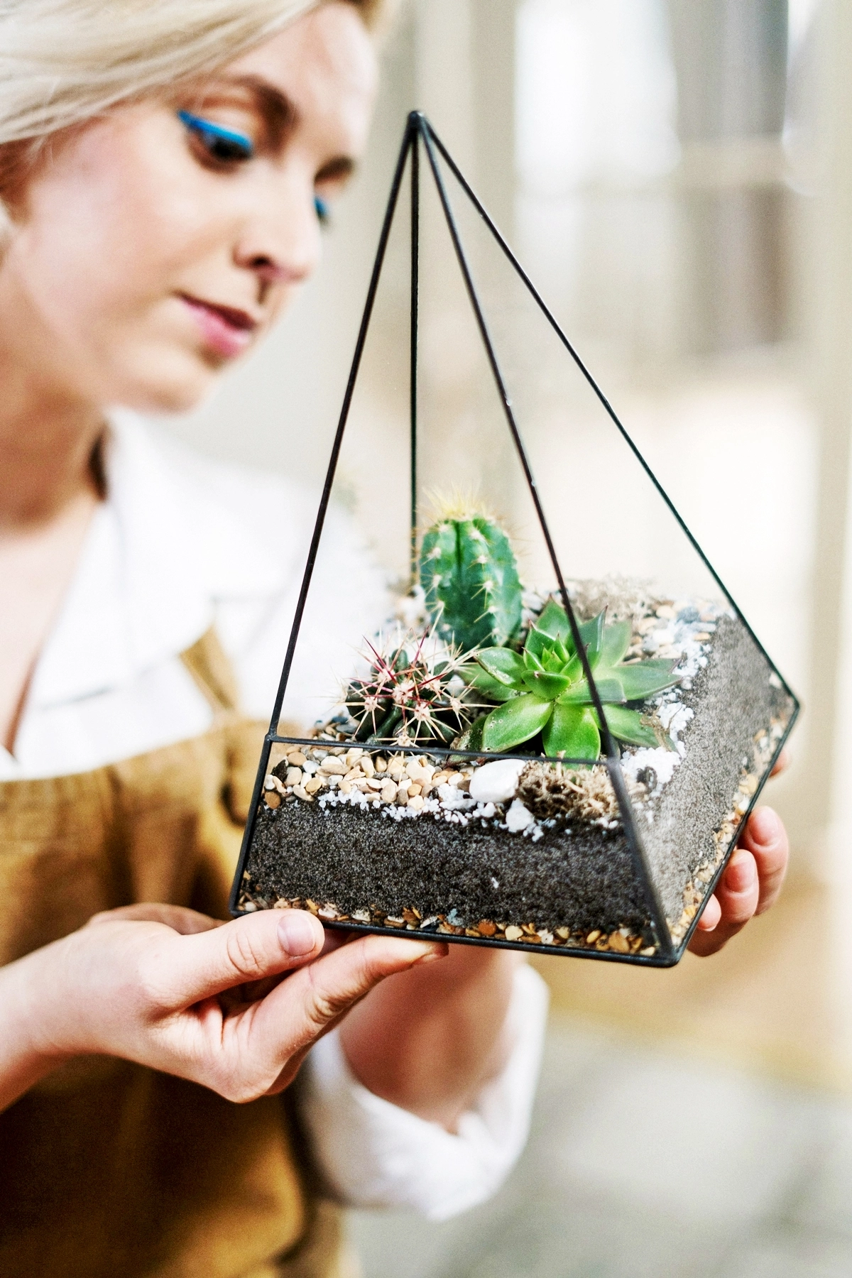 flaschengarten anlegen mini garten florrarium terrarium mit pflanzen