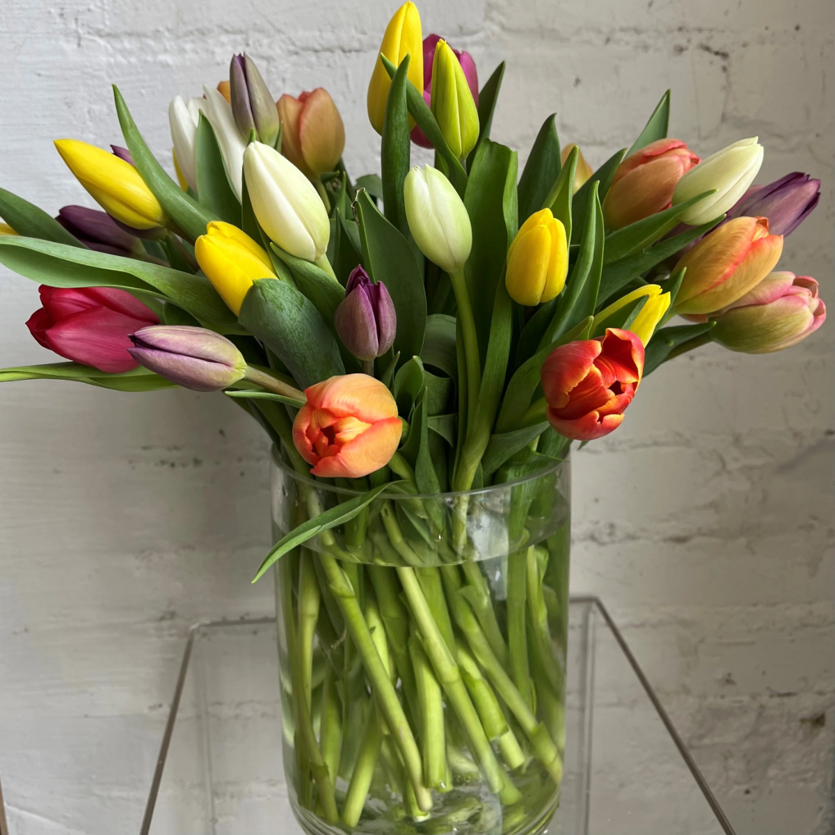 hält tulpen in der vase länger frisch