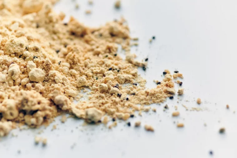 mit mehlkaefern beunreinigtes mehl