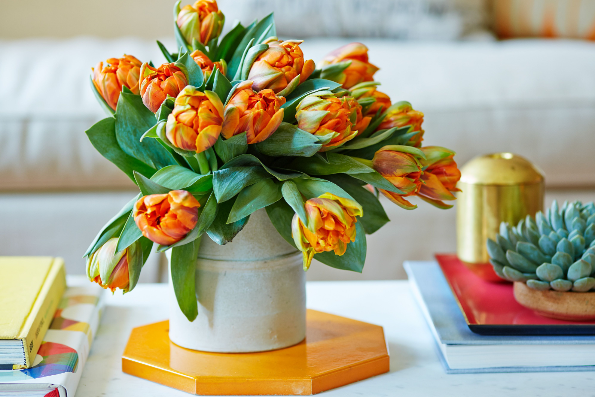 orangefarbene tulpen auf holzbrett
