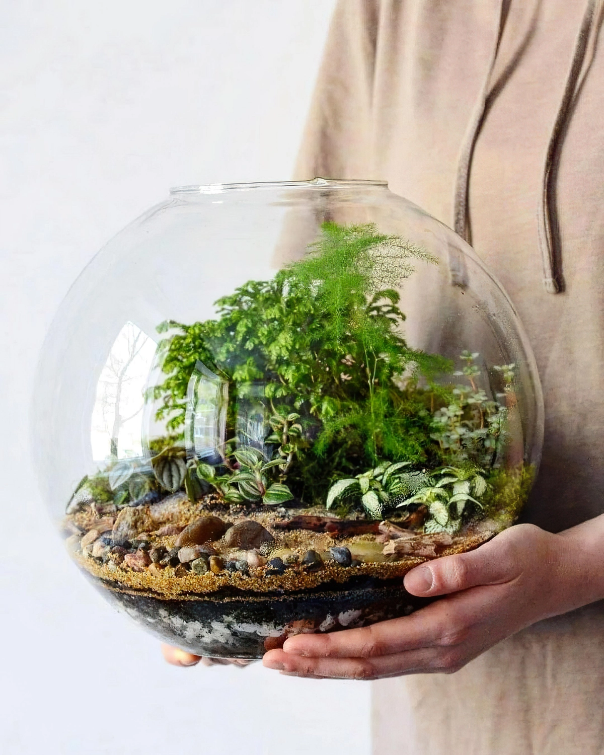 pflanze im glas diy florrarium diotop flasche terrarium imaginarium