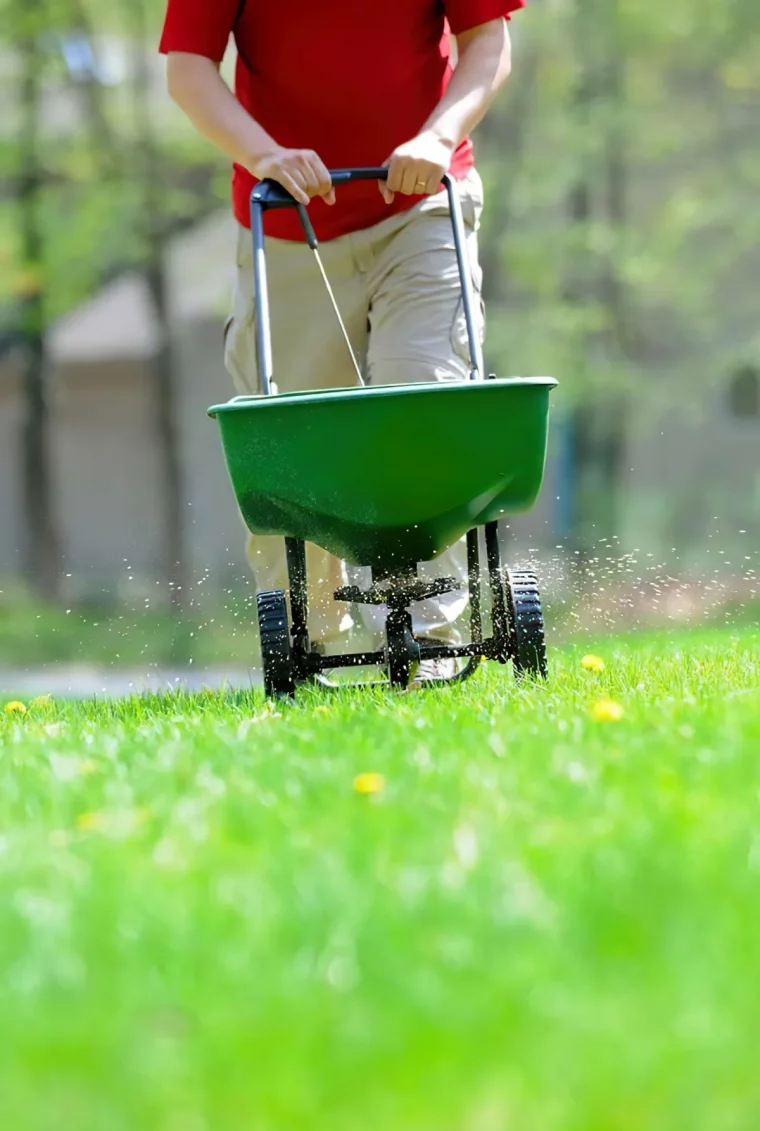 rasen pflege gras düngen im frühling