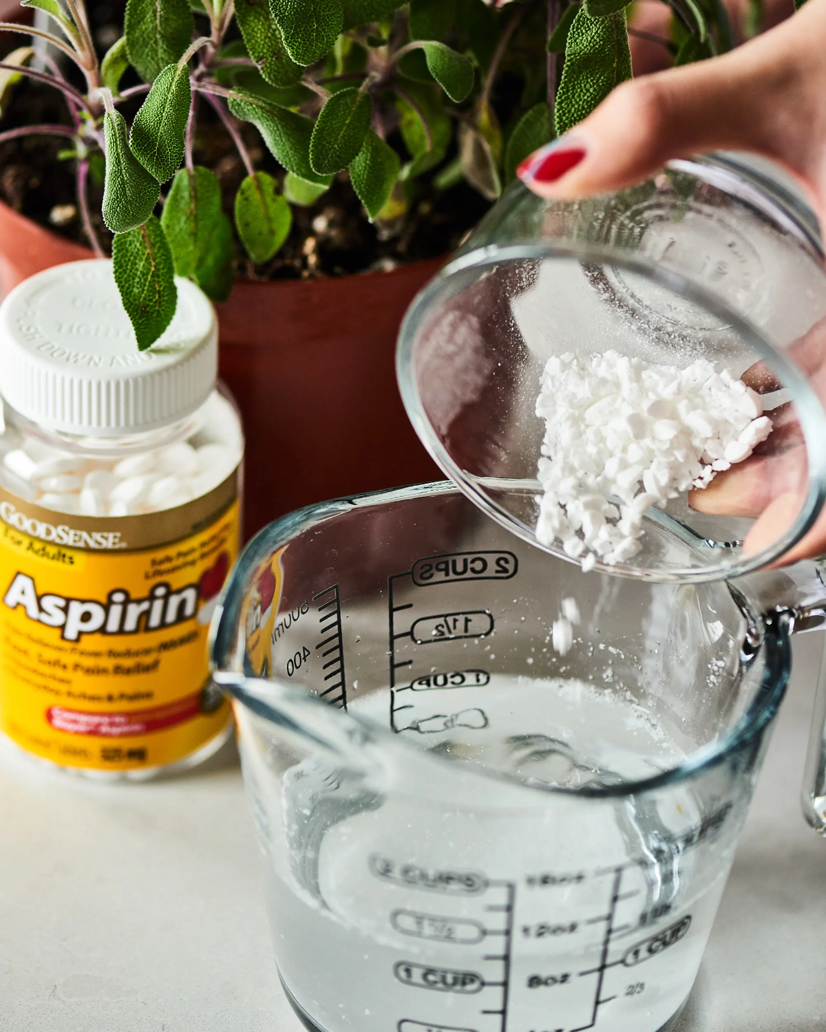 aspirin gegen kalkablagerungen