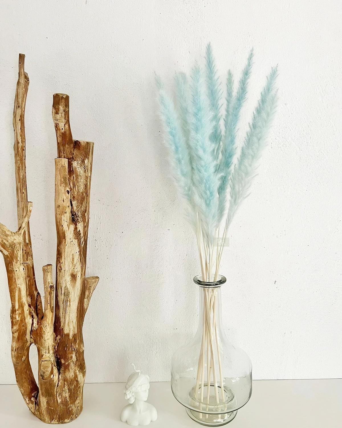 getrockenetes gefaerbtes gras in vase blaues pampasgras dried and dainty