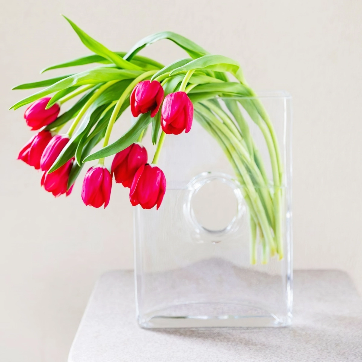 tulpen im glas rote fruehlingsblumen moderne vase terryfurutadesigns