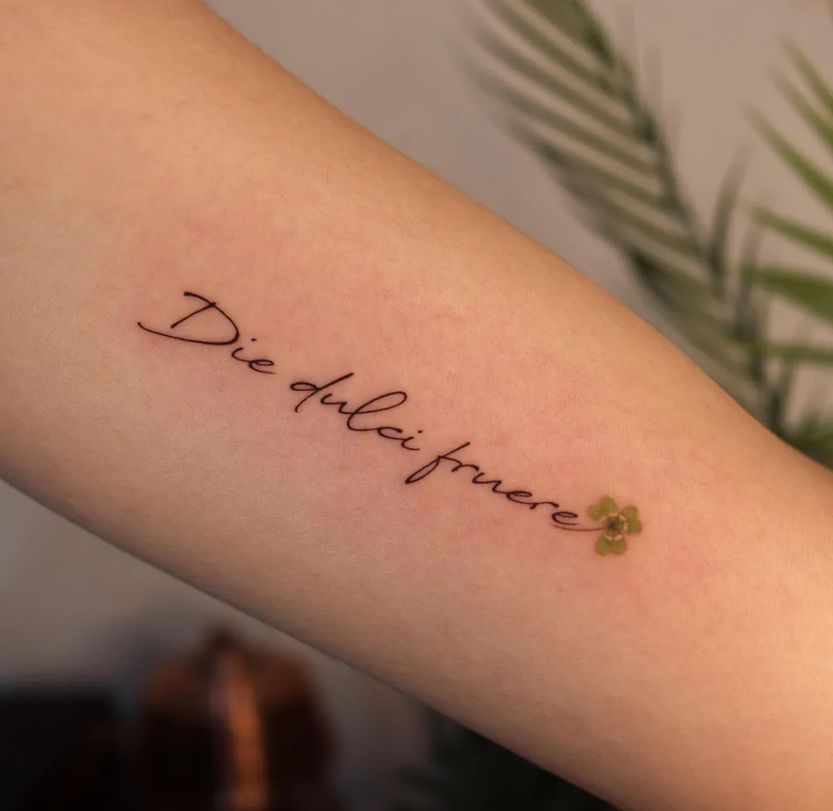 die dulci fruere schriftzug tattoo am arm mit kleeblatt