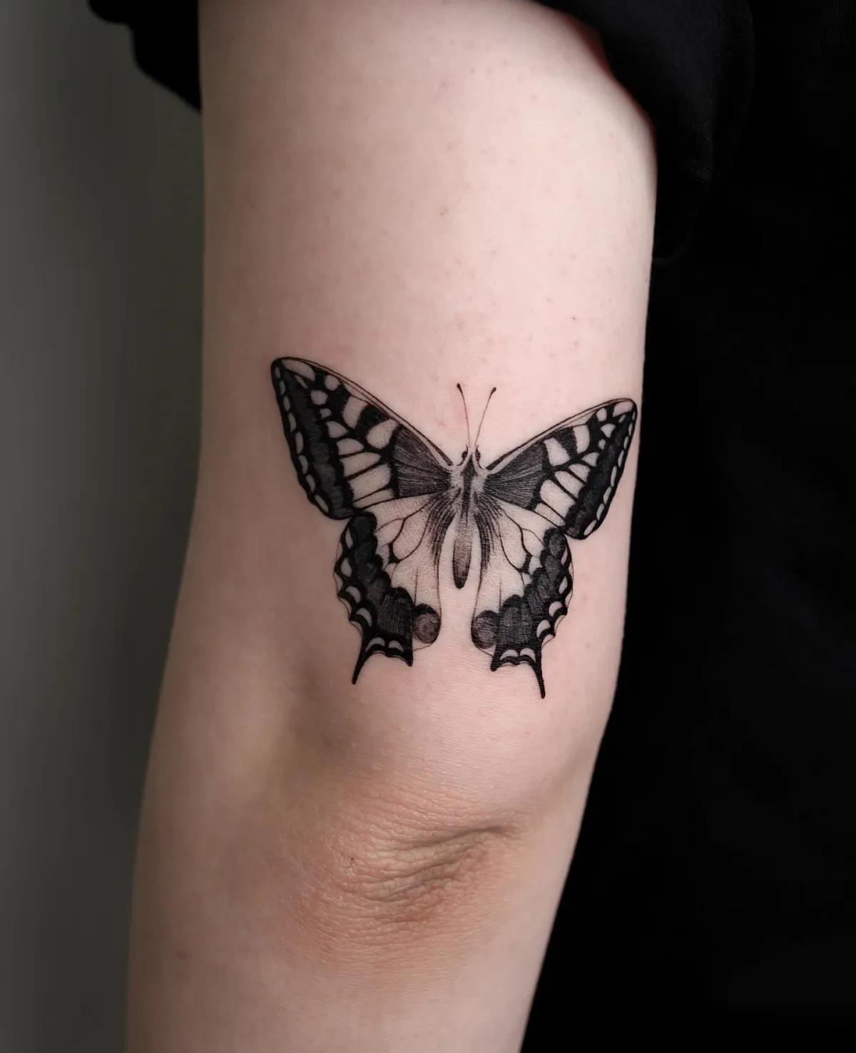 schulter tattoo detailliert schmetterling tattoo motiv für frauen