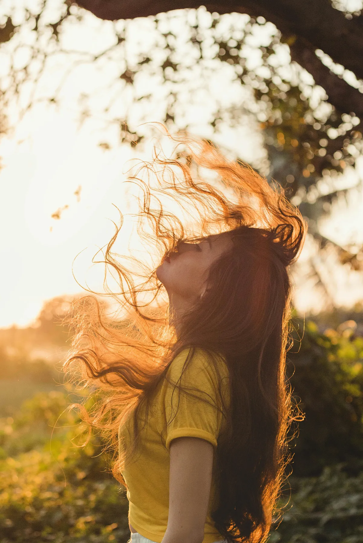 gepflegtes haar gesund braune locken