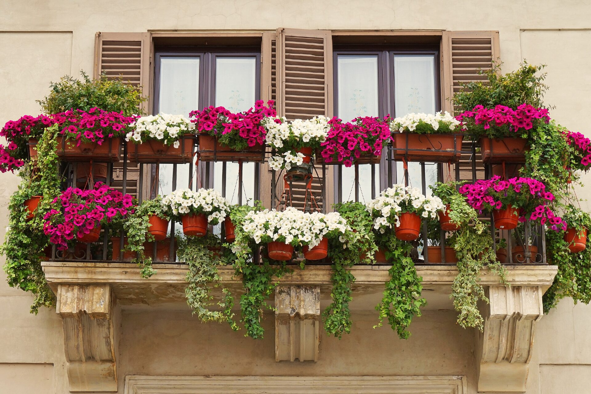 balkon mit vielen farbenfrohen pflanzen