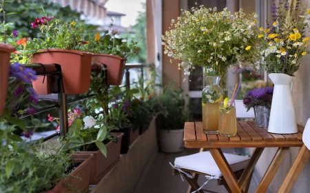 pflegeleichte balkonpflanzen auf schattiger balkon