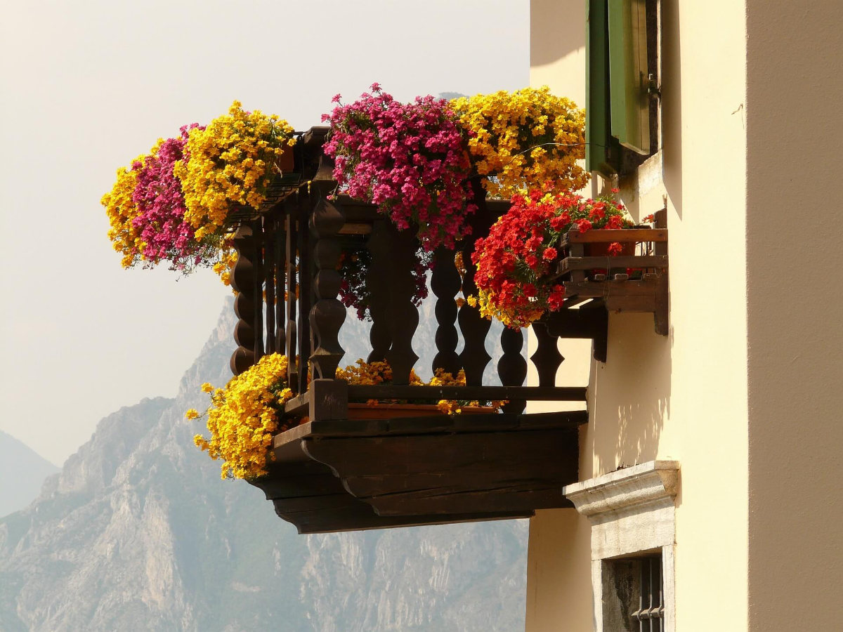 pflegeleichte balkonpflanzen für südseite und sonnige balkone