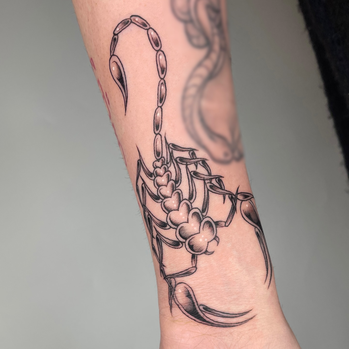 skorpion tattoo auf arm