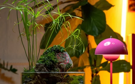 aquarium deko ideen stein mit moos bewachsen lebende bepflanzung