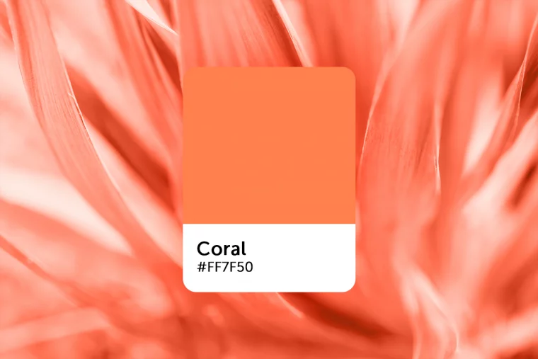 coral farbe